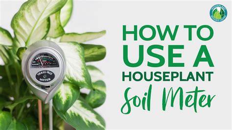 homemade plant moisture meter|moisture meter guide for houseplants.